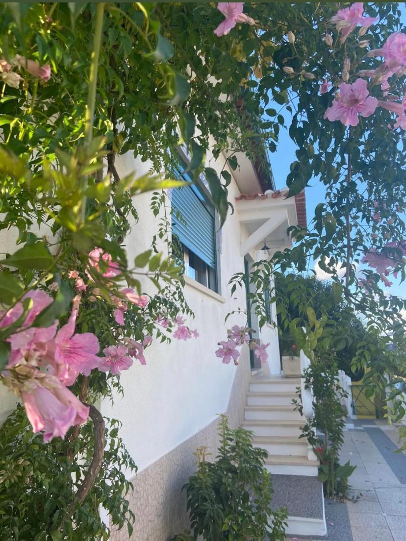 Casa De Azzancha Konuk evi Azinhaga Dış mekan fotoğraf